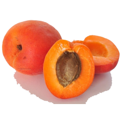 abricot (1kg)