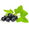 Cassis (220g)